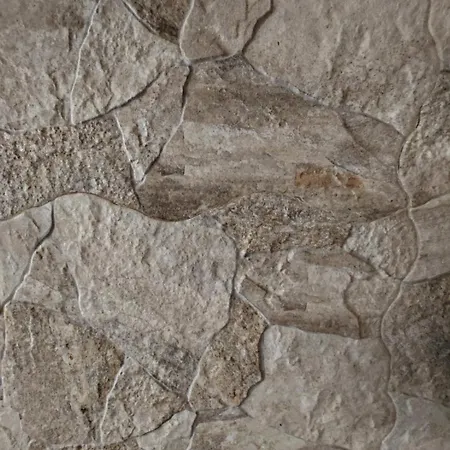 Ester קסטב