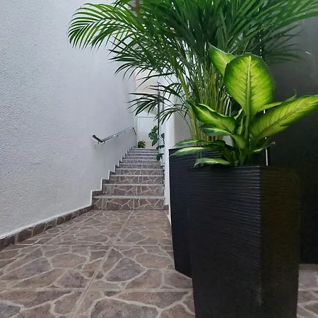 Ester Appartement *